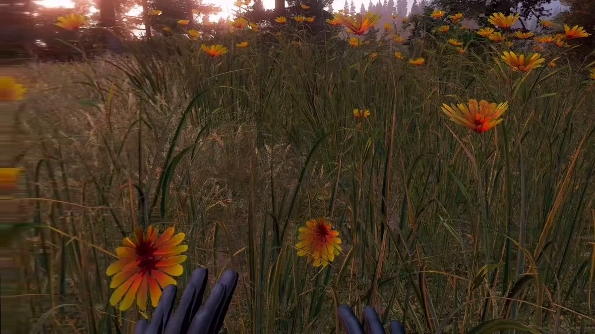 A pink-tinted first-person view of a wildflower meadow in Far Cry 5's Montana forest, with gloved fingers at the bottom edge
