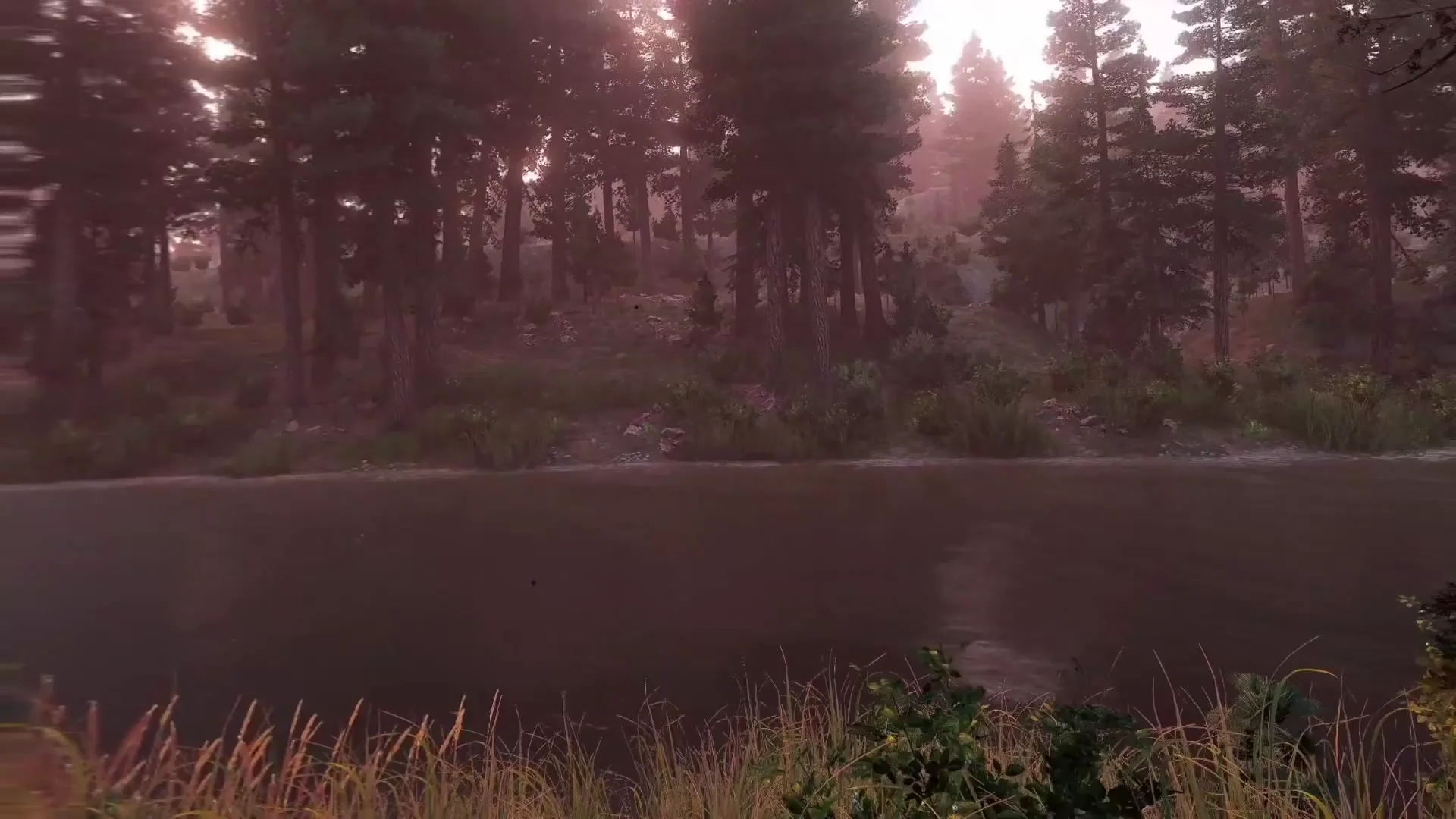 A hazy forest lake in Hope County seen from a grassy shore